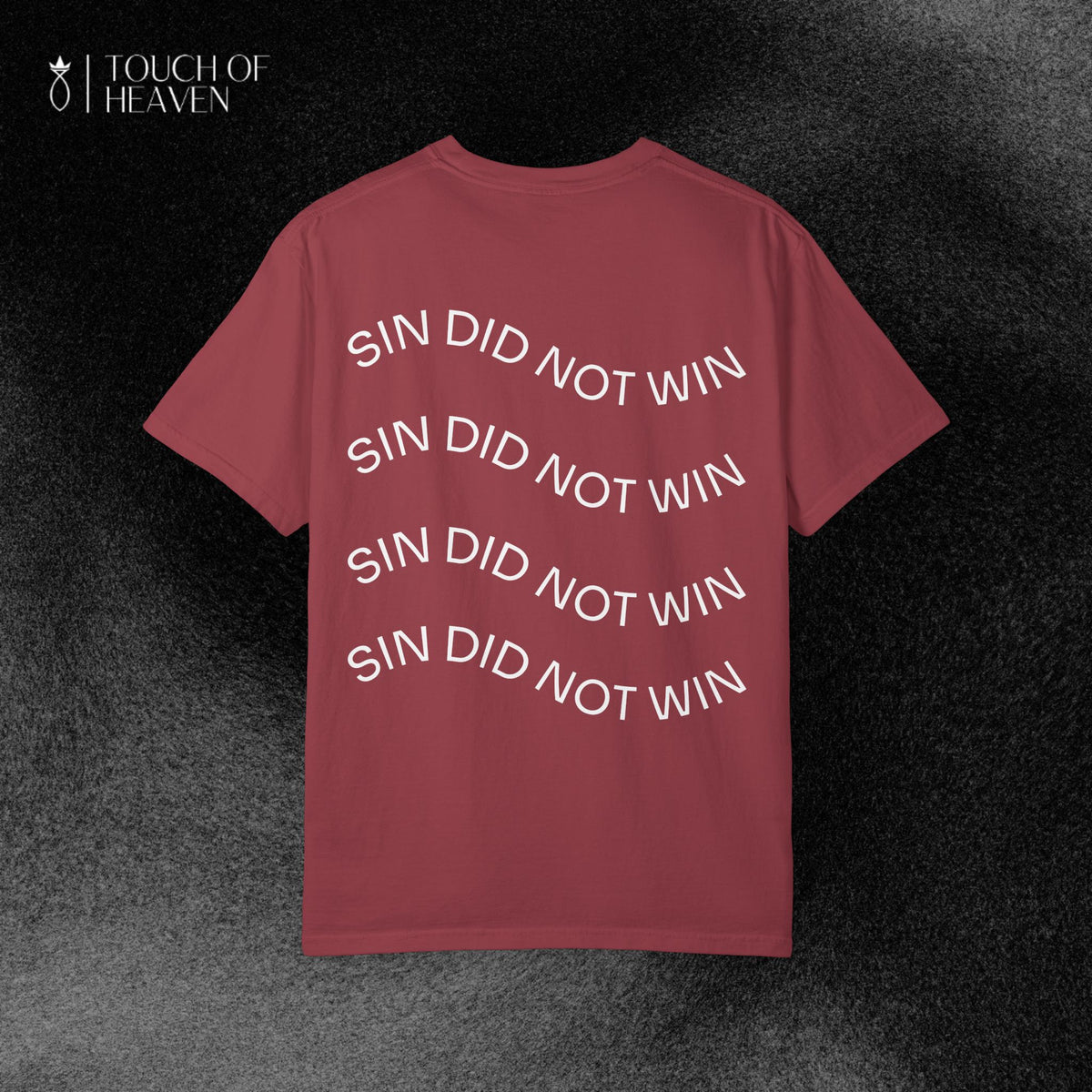 "SIN DID NOT WIN" Tee