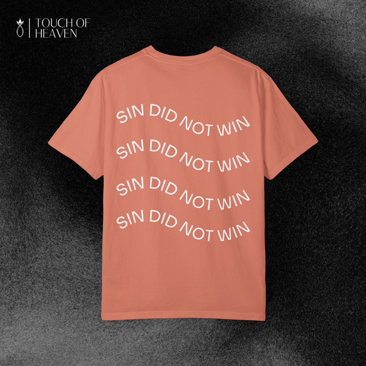 "SIN DID NOT WIN" Tee