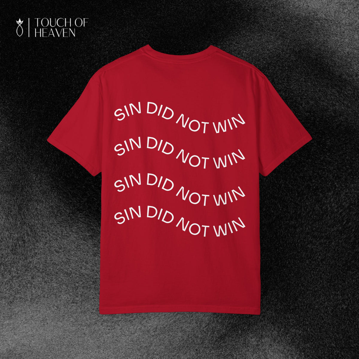 "SIN DID NOT WIN" Tee