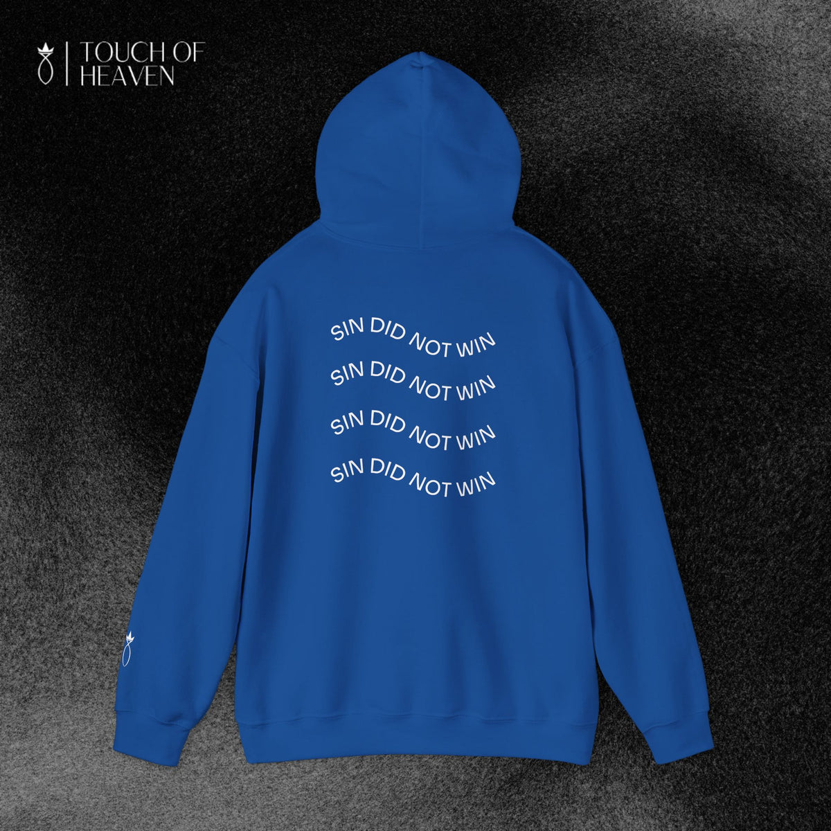 "SIN DID NOT WIN" Hoodie