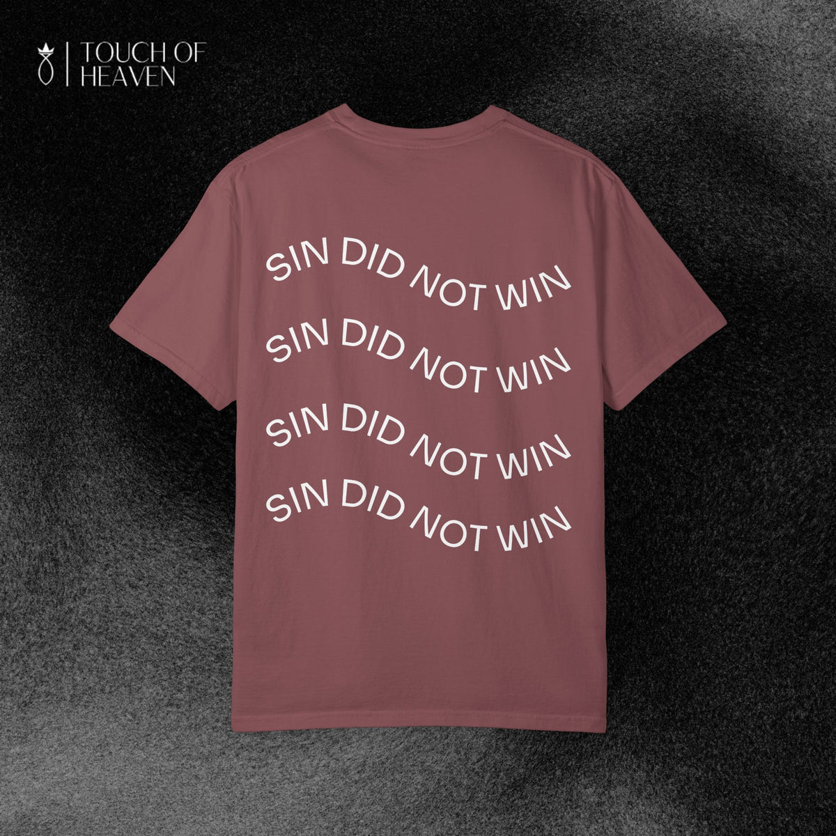 "SIN DID NOT WIN" Tee