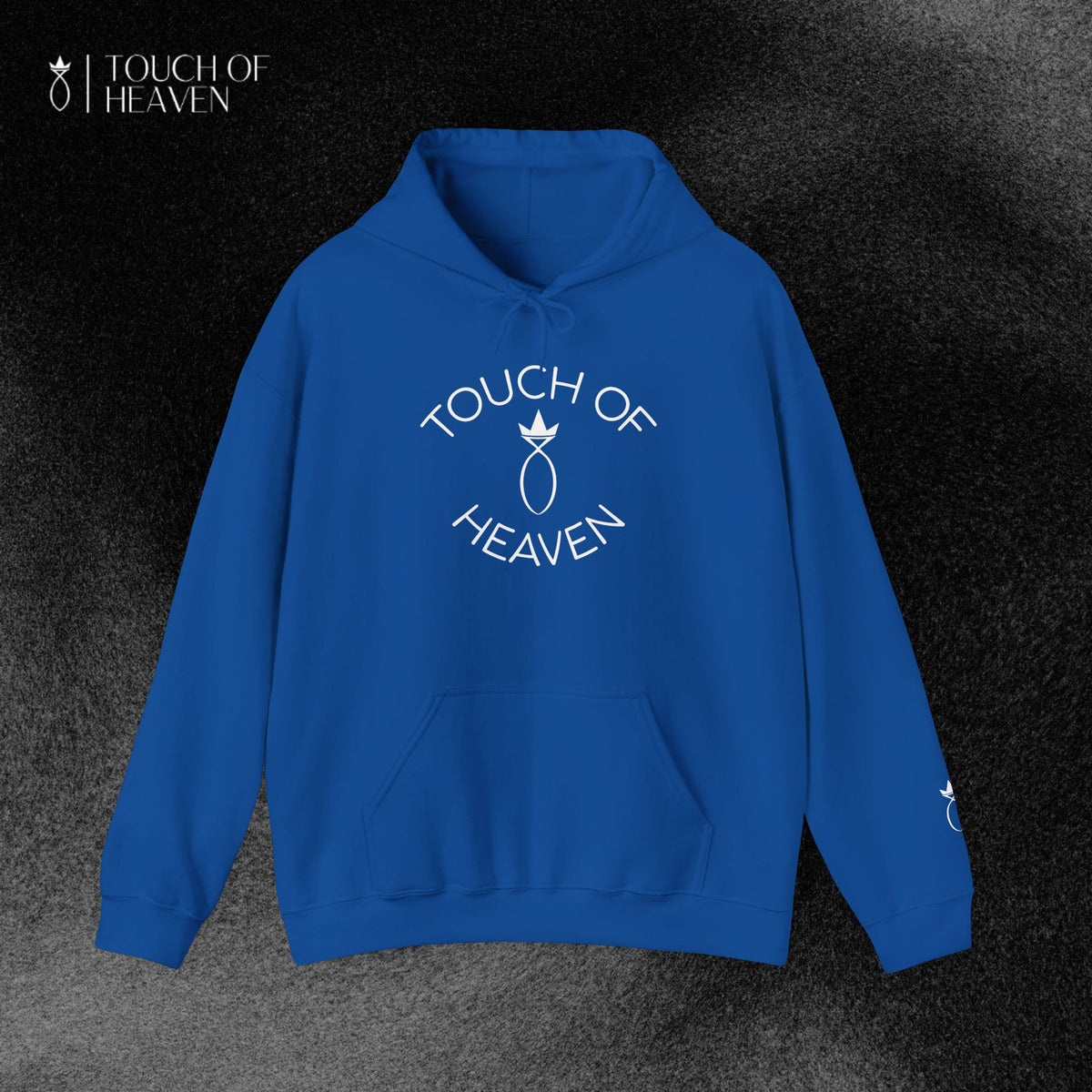 "SIN DID NOT WIN" Hoodie