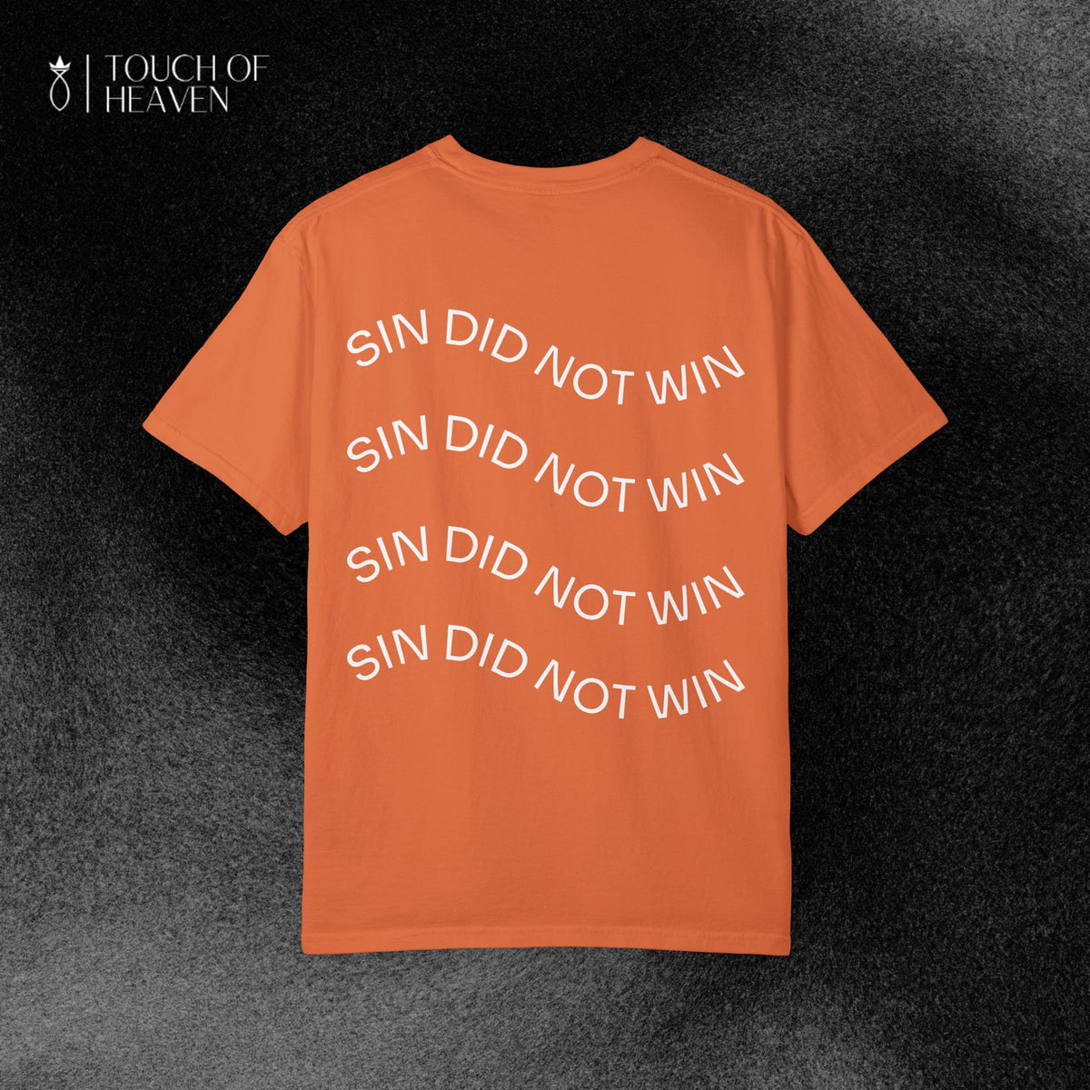 "SIN DID NOT WIN" Tee