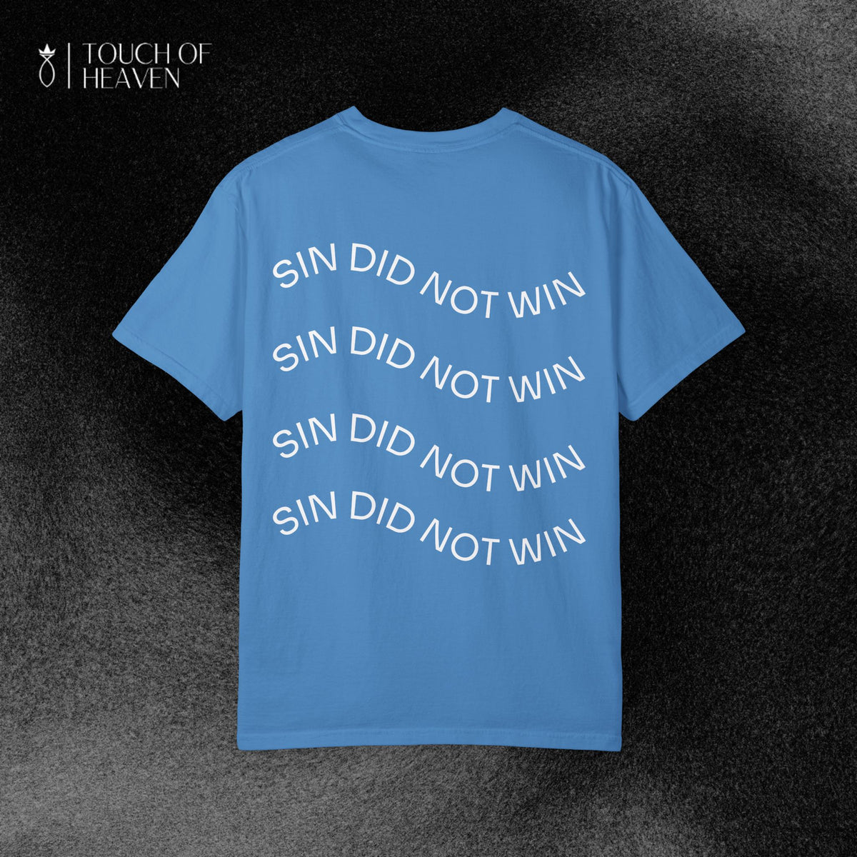 "SIN DID NOT WIN" Tee